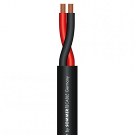 MERIDIAN INSTALL SP240