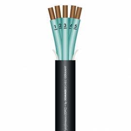 ELEPHANT ROBUST SPM540